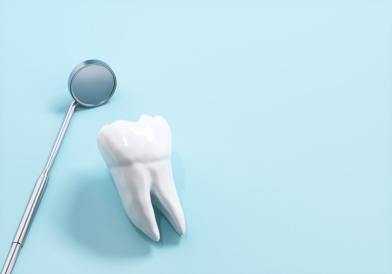 歯の根が短くなる